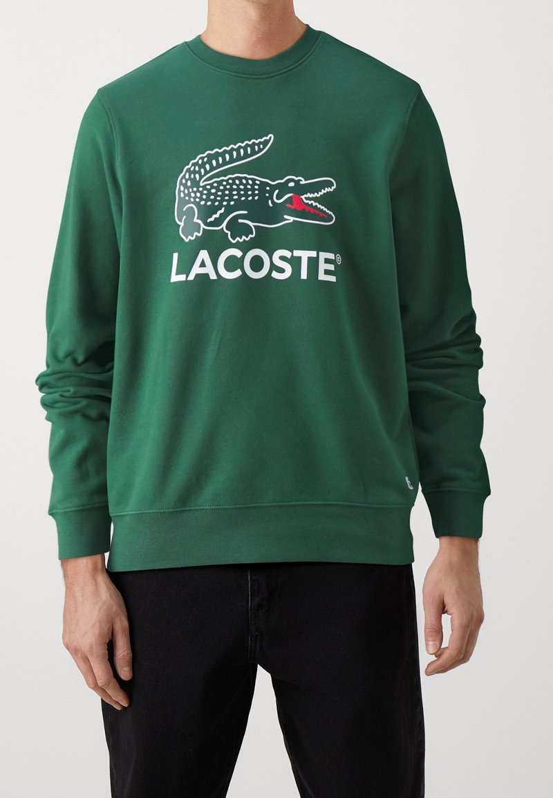 Zelená bavlněná mikina s velkým bílým logem krokodýla Lacoste s červenými akcenty, lemovaná ribem na rukávech a spodním lemu.
