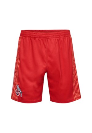 Hummel Replicas Shorts - 1. FC Köln 3rd 2023/2024 Rot 2XL