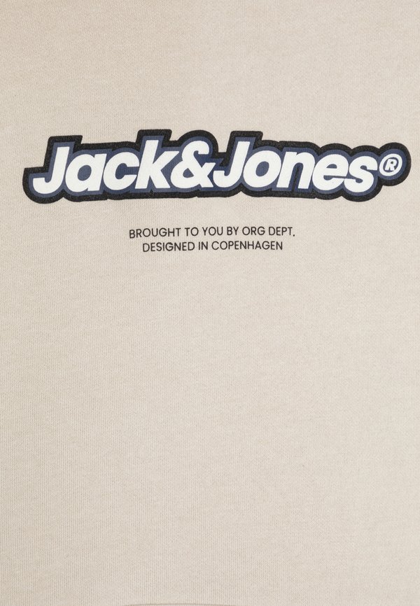 JORVESTERBRO NEWTON BRNDG - Hoodie - moonbeam2