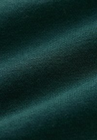 Self. SELF. WELLNESS  REGULAR FIT - Ikdienas džemperis - green