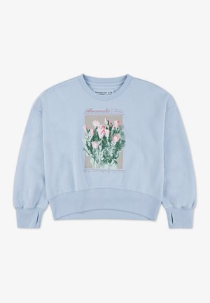 Abercrombie & Fitch CREW - Sweatshirt - skyway