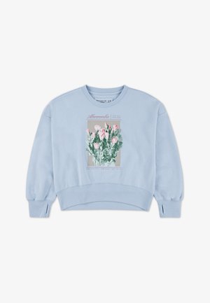 Abercrombie & Fitch CREW - Camisola - skyway