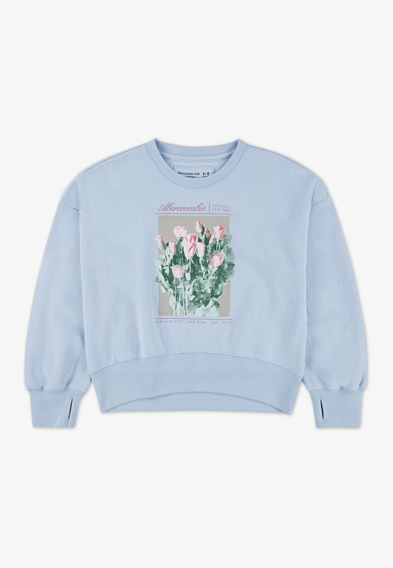 Abercrombie & Fitch CREW - Sweatshirt - skyway