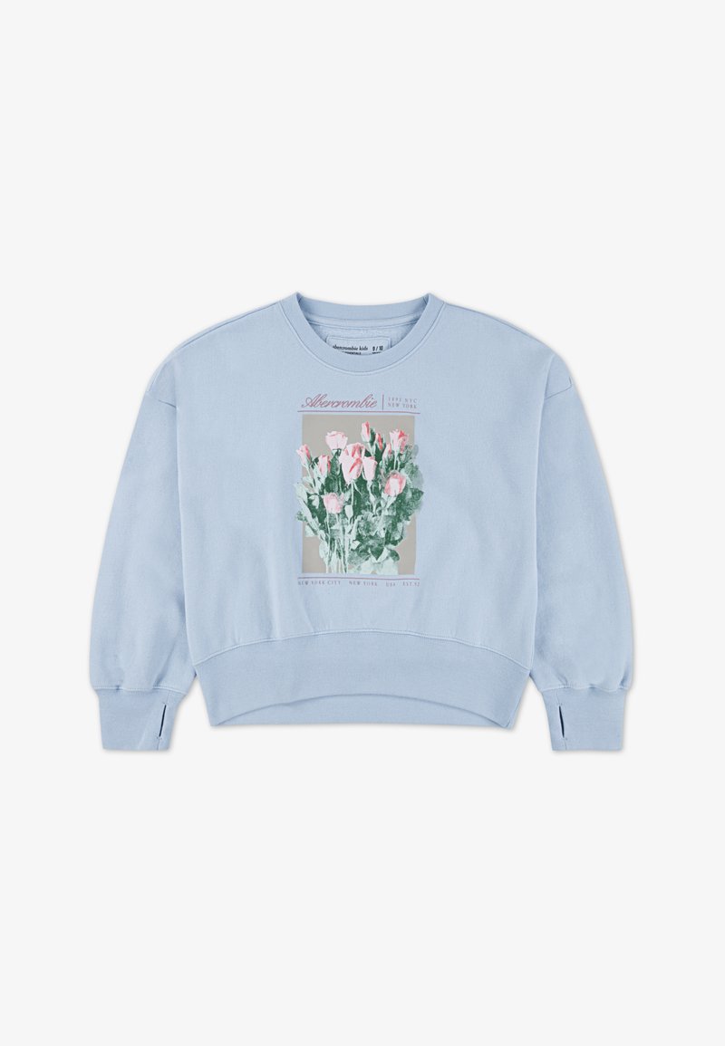 Abercrombie & Fitch CREW - Φούτερ - skyway