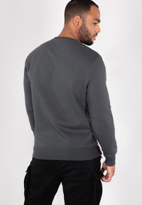 Alpha Industries BASIC SMALL LOGO - Mikina - greyblack