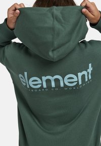 Grön huvtröja i bomull med en stor ljusblå "element"-logotyp och texten "Skateboard Co. WORLDWIDE" på baksidan.