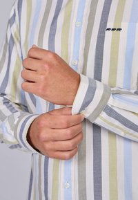 Chemise rayée avec des nuances de vert, bleu, blanc et gris. Comprend des poignets boutonnés et une petite broderie d'animal sur la poitrine.