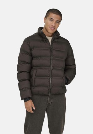 SUNION SEAMLESS LIFE PUFFER OT - Chaqueta de invierno - cafe