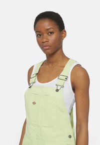 Dickies DUCK BIB  - Salopette - stone washed pale green
