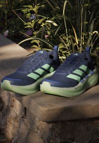 Ζευγάρι παπουτσιών για τρέξιμο Adidas σε ναυτικό μπλε και πράσινο τοποθετημένα σε μια πέτρινη άκρη με πράσινα φυτά στο φόντο.