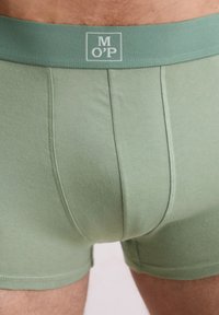 Boxers de algodón verdes con un diseño ajustado. La cinturilla elástica presenta un logo en un color contrastante. Los detalles de las costuras son visibles.