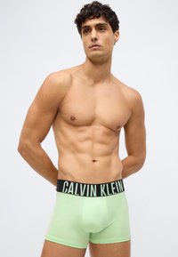 Muž bez trička, oblečený ve světle zelených boxerkách Calvin Klein s černým pasem, stojí na jednoduchém světle šedém pozadí.