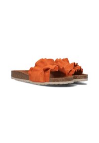 VERBENAS ROCIO - Muiltjes - oranje