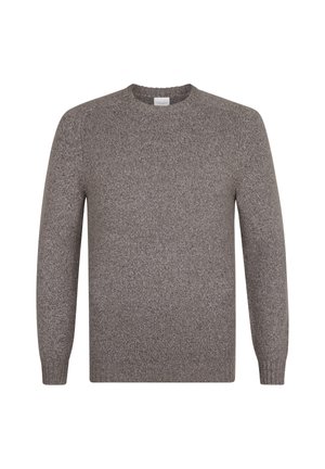 Maglione grigio a maglia, colletto rotondo, maniche lunghe, tessuto morbido, vestibilità regolare, senza motivi o accessori visibili. Design semplice e liscio.