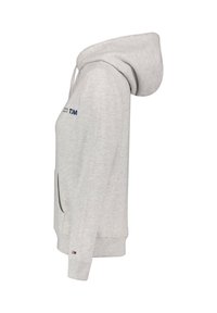 Felpa grigia chiara con tasca a marsupio, polsini e orlo a costine. Presenta un cappuccio con cordino e un piccolo logo blu sul petto.