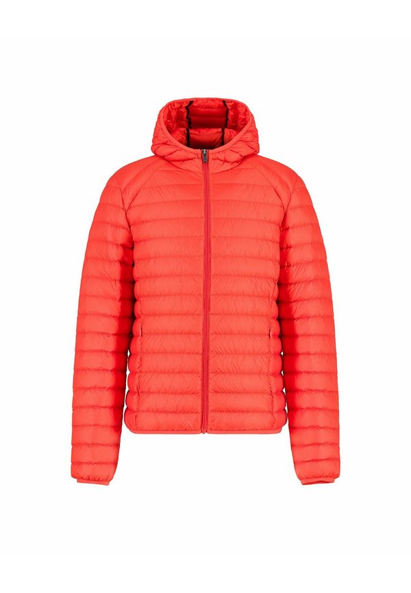 NICO  - Daunenjacke - rouge