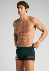 Pánské trenky v tmavě zelené barvě s karikaturním motivem trpaslíka a slovem "GRUMPY" v červené barvě. Vyrobeno z elastického materiálu.