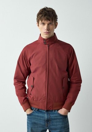 REGULAR FIT -  HARRINGTON  - Bomberjacke - red