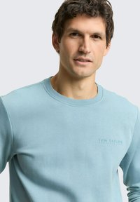 Lichtblauwe sweatshirt met een ronde halslijn en geribbelde manchetten, met een geperst logo op de borst, gemaakt van zacht katoen.