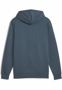 Puma Felpa con cappuccio - gray skies