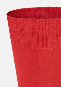 Rote gestrickte Socke mit einem gerippten Oberteil und einer glatten Körpertextur, die eine einheitliche Farbe ohne Muster oder Akzente aufweist.