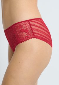 Bikini en dentelle rouge avec des motifs floraux et des bords en feston, présentant un tissu transparent et un design rayé pour plus de texture et de détail.
