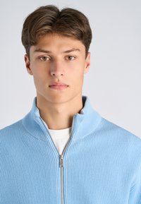 Giovane uomo con capelli castano chiaro che indossa un maglione azzurro chiaro a coste con cerniera sopra una camicia bianca, rivolto verso l'obiettivo con un'espressione neutra.