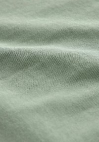 Next TABASCO LICENCE GRAPHIC - T-shirts print - green wash