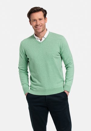 Groene, lichte trui met een V-halsontwerp. Heeft ribgebreide manchetten en zoom, gecombineerd met donkere broeken. Glad oppervlak, casual uitstraling.