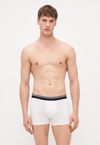 White cotton boxer briefs with a black and white striped waistband, featuring a snug fit and smooth texture, worn by a model.