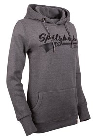 Grijze hoodie van een katoenblend, met een kangoeroezak, een capuchon met trekkoord en contrasterende koorden, en een bedrukt logo op de voorkant.