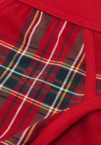 Červená látka s kostkovaným vzorem se zelenými, žlutými a modrými akcenty. Hladká textura s viditelnými švy podél okrajů.