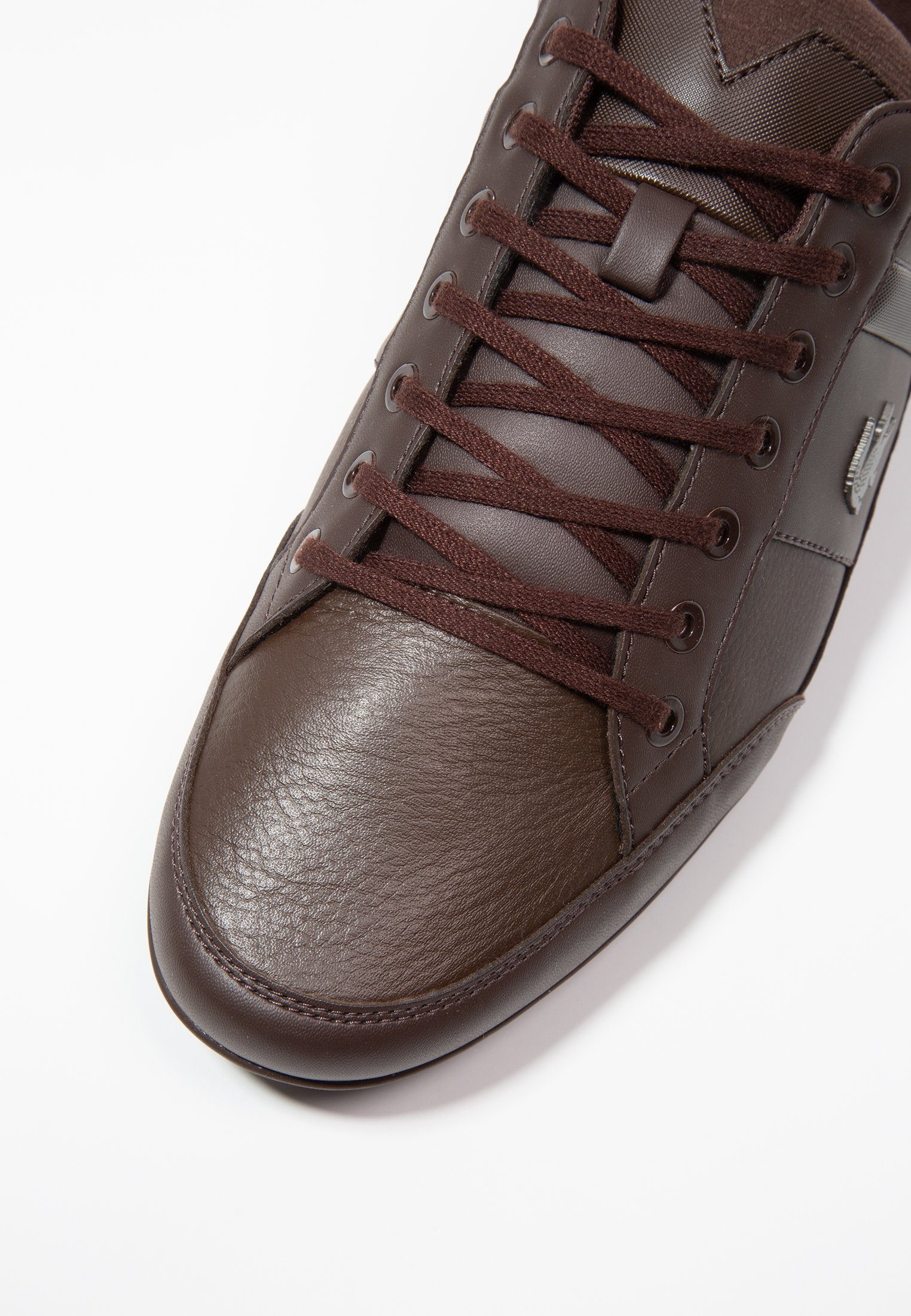 lacoste chaymon brown