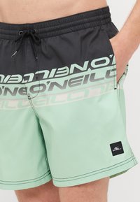 Shorts de bain vert menthe avec une ceinture noire, arborant un logo graphique audacieux et des coutures contrastées. Comprend un cordon de serrage.
