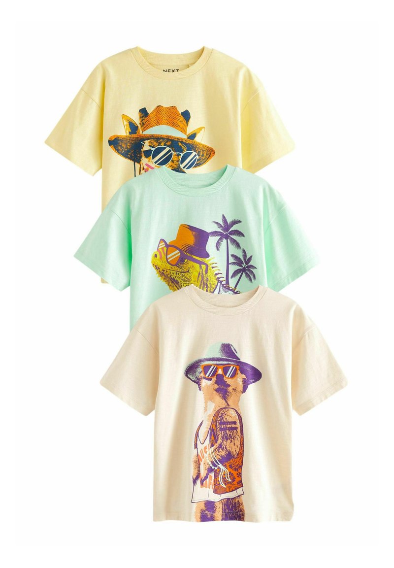 Next SHORT SLEEVE GRAPHIC 3 PACK STANDARD - T-shirt imprimé - multi funny animals