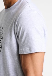 Helles graues Baumwoll-T-Shirt mit Rundhalsausschnitt, kurzen Ärmeln und einem bedruckten Logo-Design auf der Vorderseite. Weicher, lässiger Stoff.