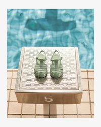 Neselectat, pistachio