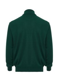 Maglione verde scuro con colletto alto, polsini e orlo a coste. Texture morbida, design semplice e senza loghi o decorazioni visibili.
