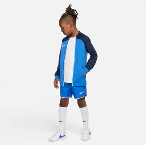 DRI-FIT  - Shorts - royal