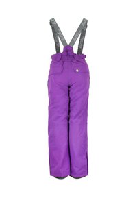 Peak Mountain ENSEMBLE DE  - Veste d'hiver - noir violet