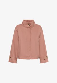 Neizvēlēts, ash rose