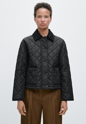 SHORT LIGHTWEIGHT WATER-REPELLENT CORDUROY PUFFER - Overgangsjakke - black