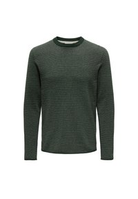 12 STRIPE CREW - Svetrík - grün