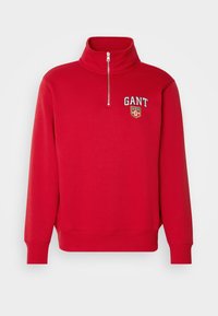GRAPHIC HALF ZIP - Sweatshirt - cherry red