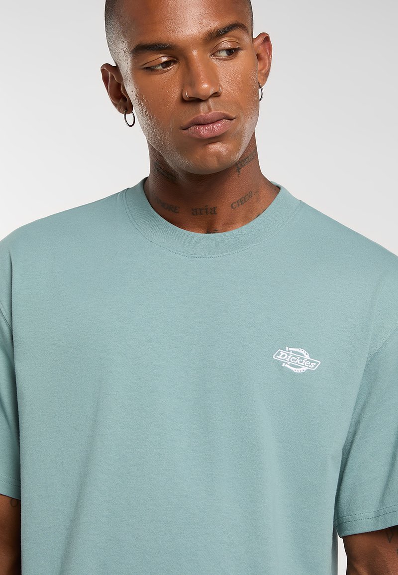 T-shirt di cotone azzurro chiaro con collo a giro, maniche corte e piccolo logo bianco "Dickies" sul petto sinistro. Tessuto liscio, vestibilità casual.