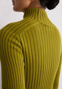 Gestreifter Rollkragenpullover in einem lebhaften Olivgrün, mit einer taillierten Silhouette und strukturiertem Strick, der vertikale Linien betont.