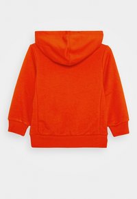 Oranje hoodie met capuchon, geribbelde manchetten en zoom. Gemaakt van zachte, gestructureerde stof. Heeft een eenvoudig ontwerp zonder zichtbare logo's of accenten.