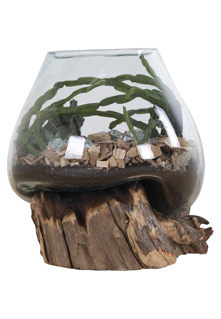 Glazen terrarium met een ronde vorm, gevuld met groene planten, houtsnippers en een robuuste houten basis. Helder glas met aardse tinten.