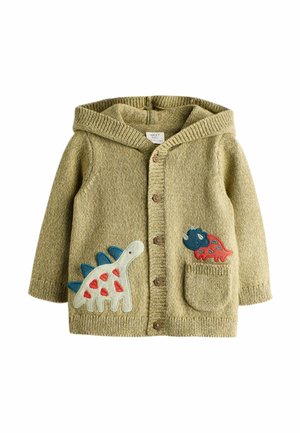 Zielony sweter na drutach z kapturem, ozdobiony aplikacjami dinozaurów w kolorach niebieskim i czerwonym, z drewnianymi guzikami i przednią kieszenią.