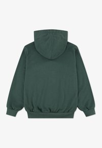 Tamsiai žalias džemperis su plačia kapišonu, ribuotomis rankogalių dalimis ir megztu juosmeniu. Audinys atrodo minkštas ir vientisos tekstūros. Rodomas nugaros vaizdas.